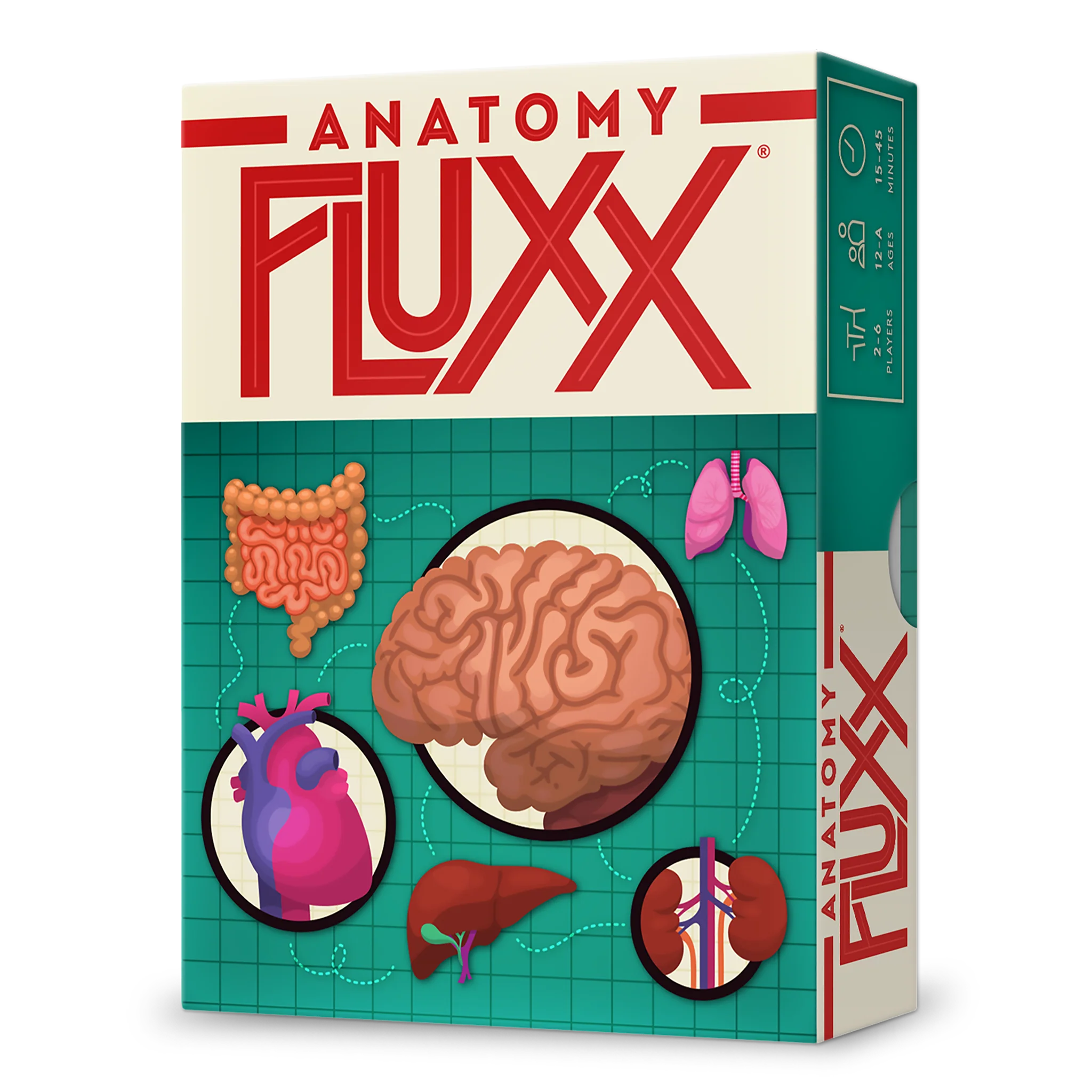 Anatomy Fluxx Card Game