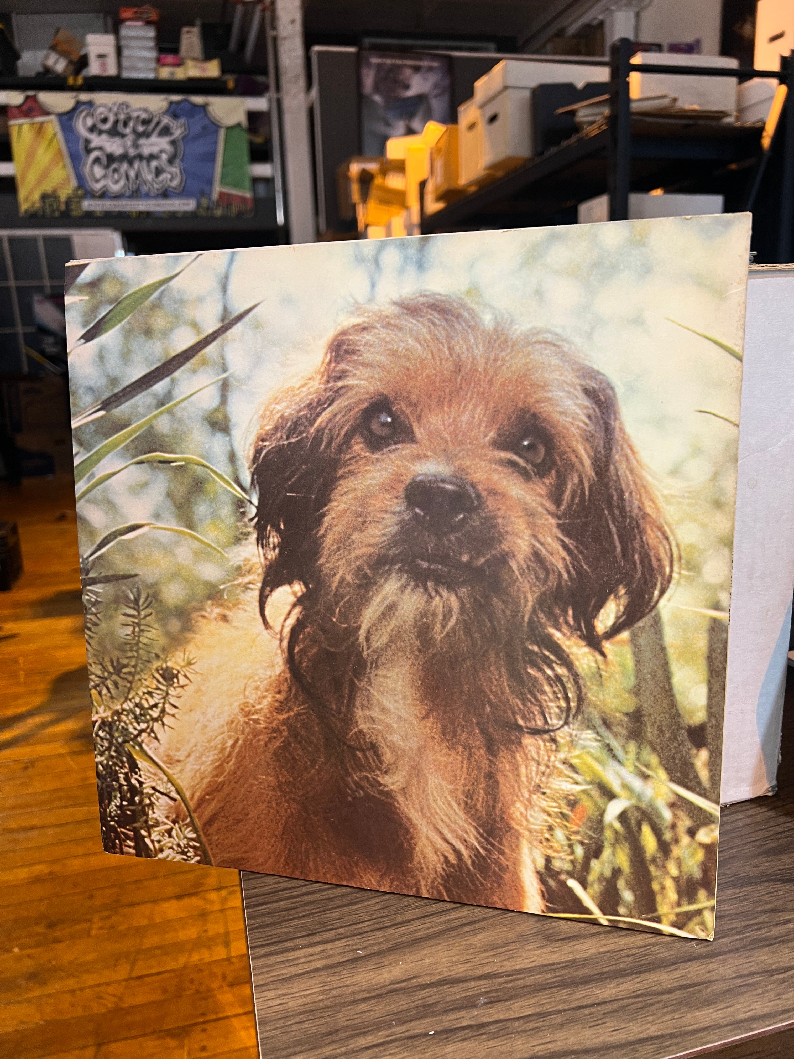 Benji (The Story of Benji): OST Soundtrack w/ Dialogue from the Film LP Vinyl Original Pressing - Image 2