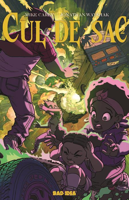 CUL DE SAC #2 (OF 5) CVR B TONY FLEECS CURSED MIRROR VAR