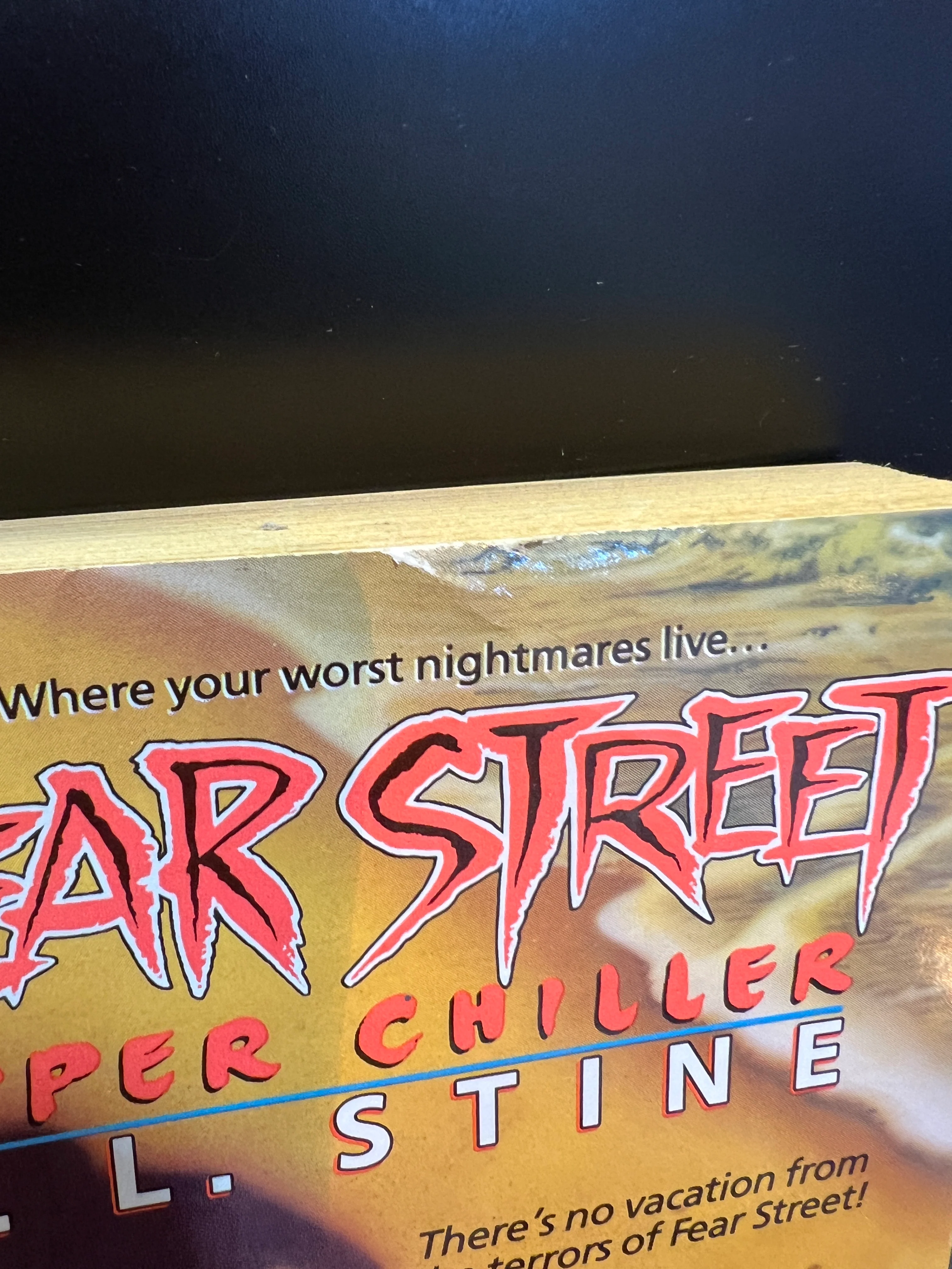Fear Street - Super Chill3er : Party Summer by R.L. Stine - Image 2