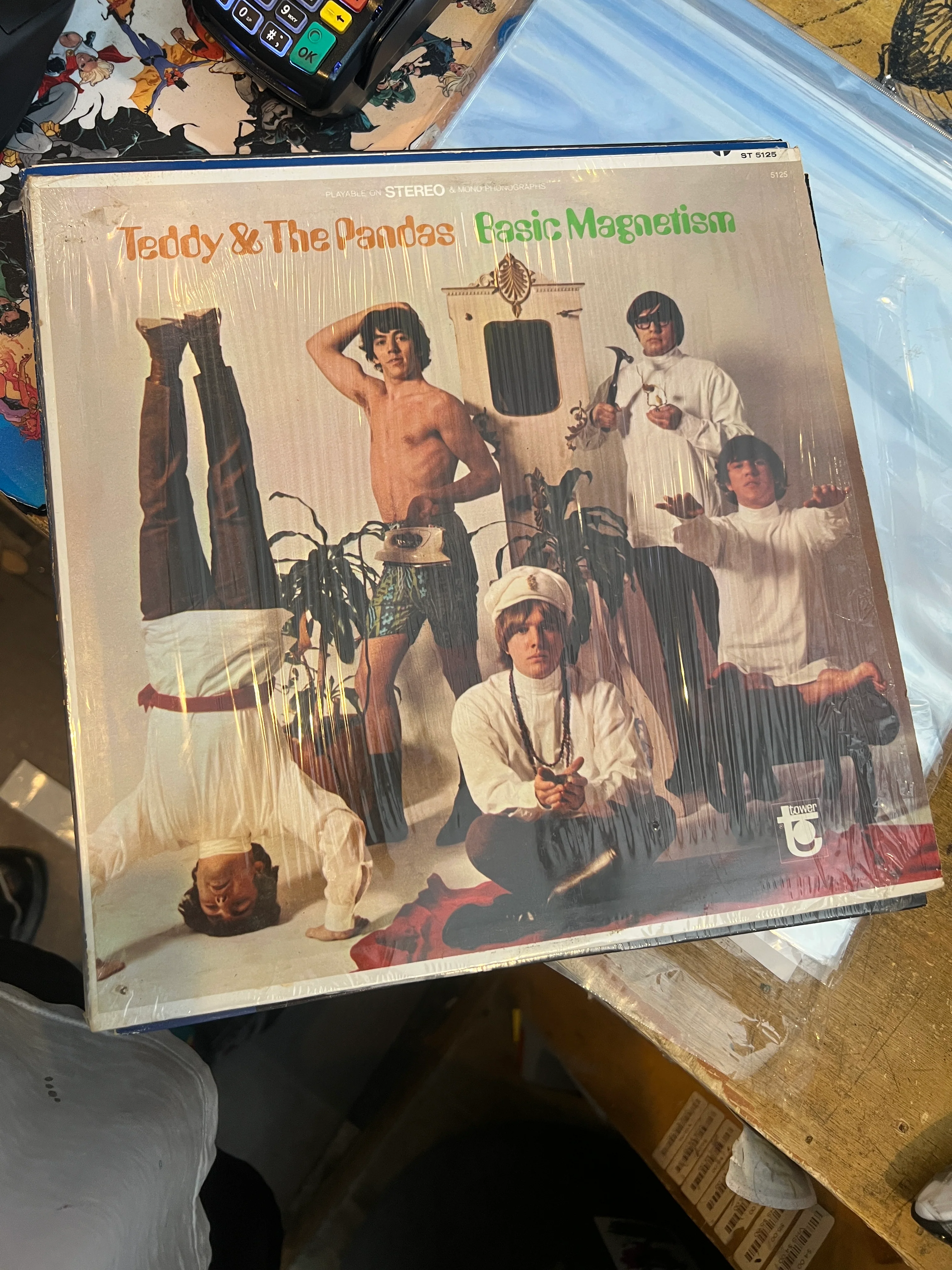 Teddy & The Pandas: Basic Magnetism VG/NM  LP