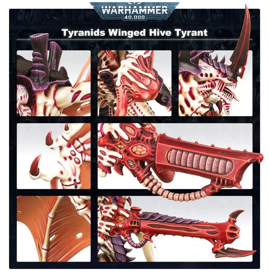 Warhammer 40,000 : Winged Hive Tyrant - Image 3