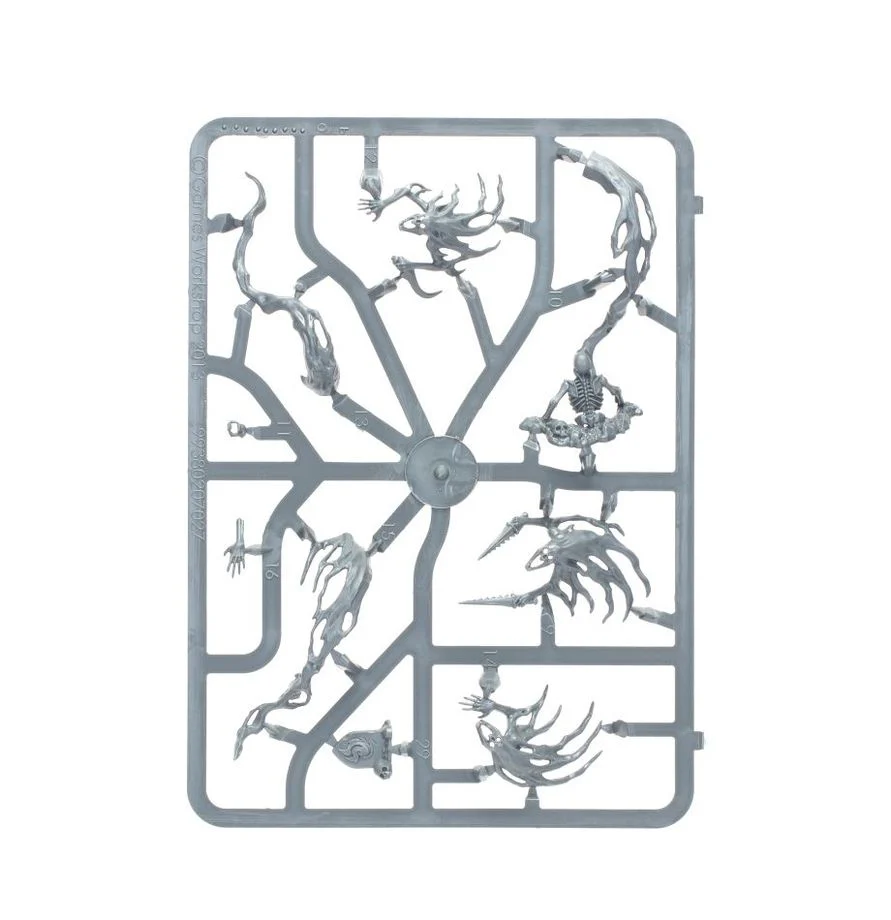 Warhammer Age of Sigmar : Nightgaunt - Spirit Hosts - Image 3