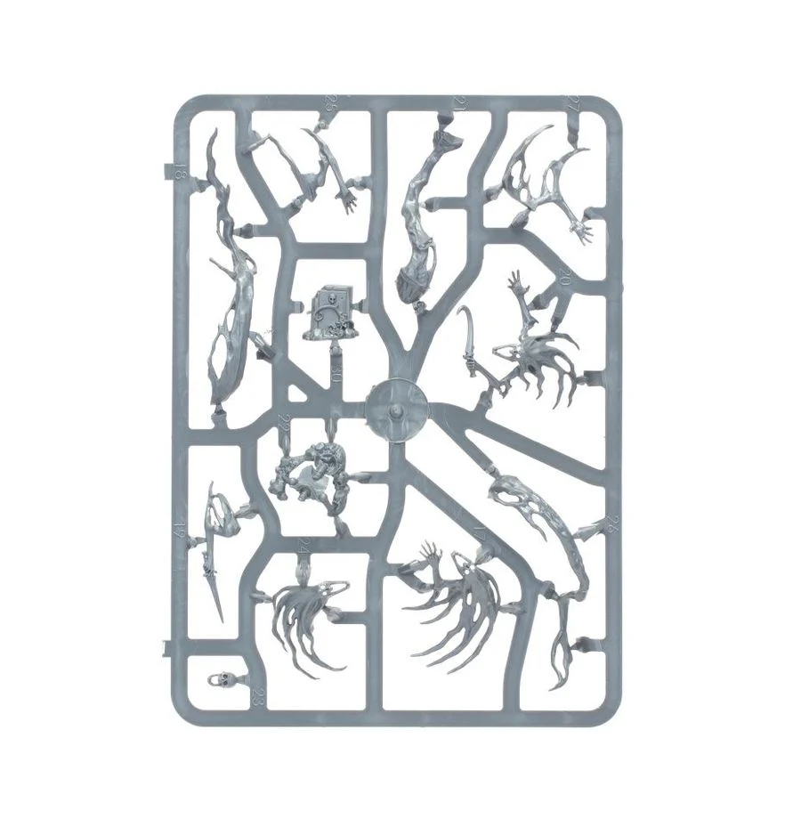 Warhammer Age of Sigmar : Nightgaunt - Spirit Hosts - Image 5